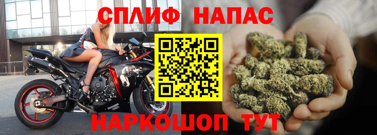 Шишки марихуана гибрид  Вход с VPN  Каннабис Bruce Banner  МАРИХУАНА план  Видное  Канабис MAZAR 